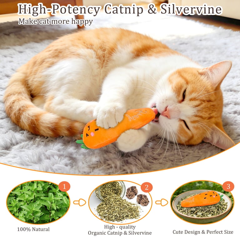 Catnip Cat Toys 5-Pack | Plush Vegetable Kicker Toys for Indoor Cats thumbnail 4