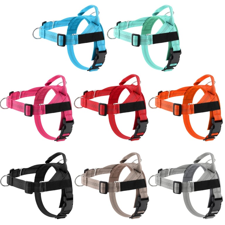 Easy-to-Cover Dog Leash Harness with Hand Holding Rope | Medium-Large thumbnail 12