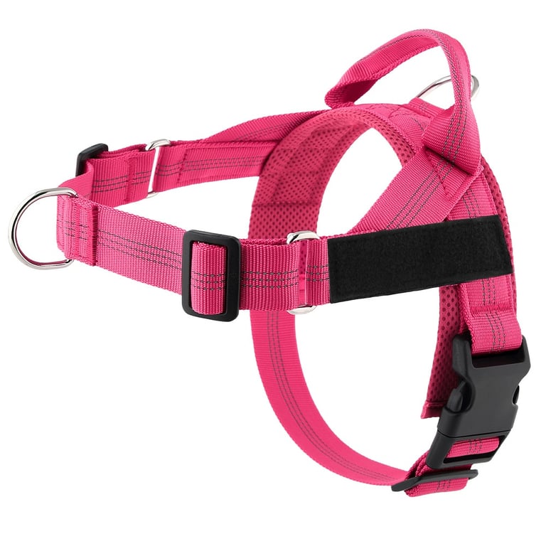 Easy-to-Cover Dog Leash Harness with Hand Holding Rope | Medium-Large thumbnail 7