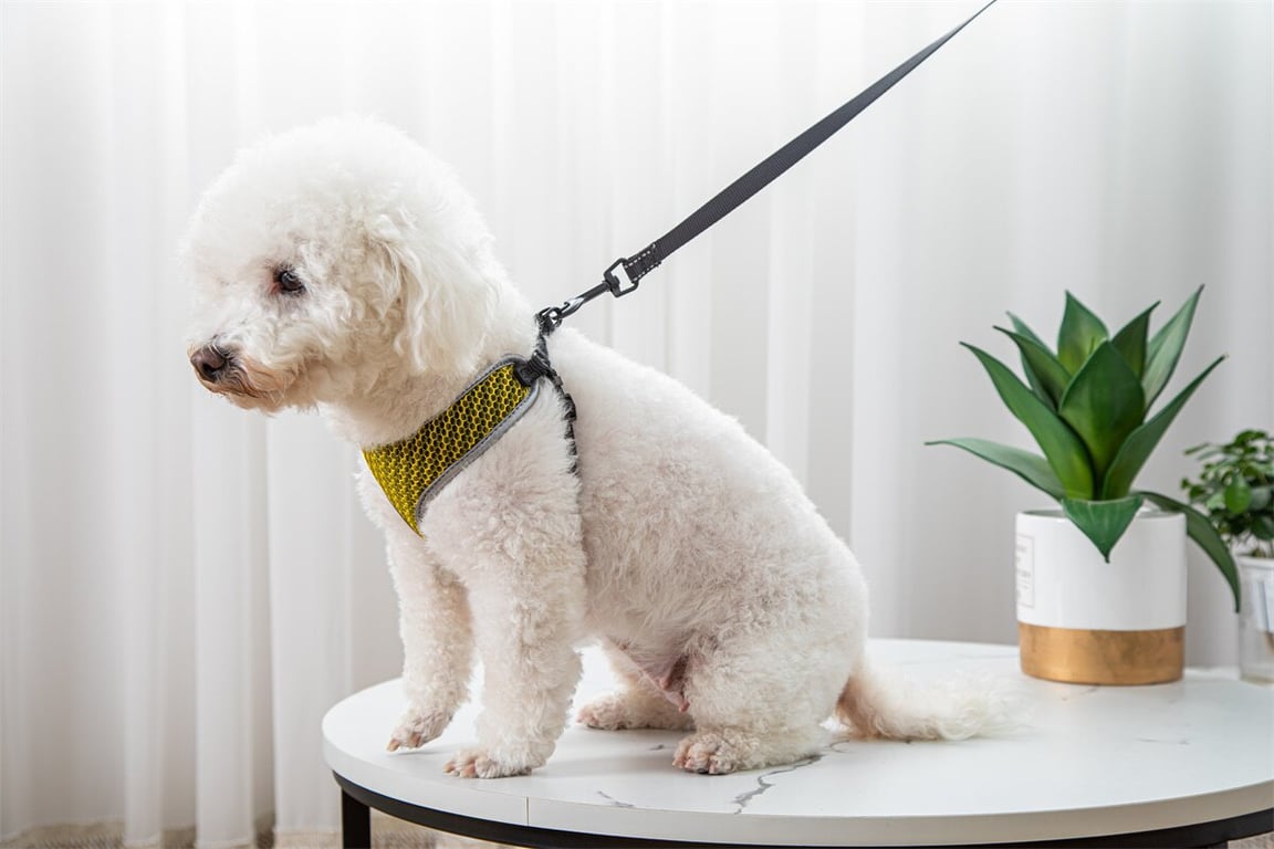 Reflective Vest-Style Dog Walking Harness | Safe Breathable Comfort thumbnail 7