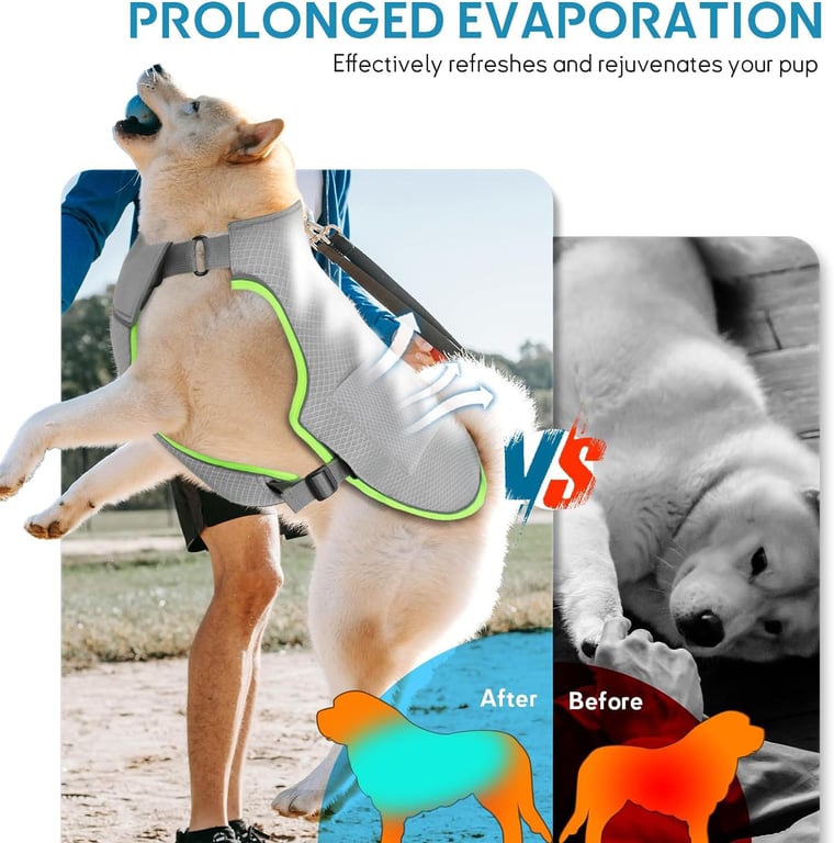 Dog Cooling Vest With Ice Packs | Reflective Harness Large Medium thumbnail 5