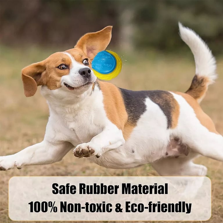 Scooby-Doo Squeaky Dog Balls Set of 8 | Teeth Cleaning Interactive Toys thumbnail 9