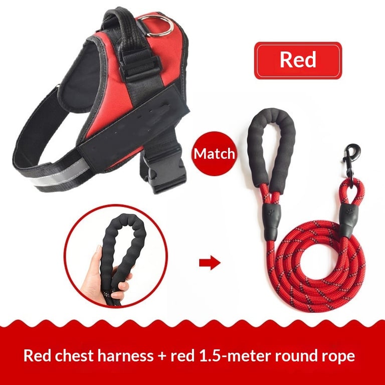 Vest-Style Dog Harness with Rope Leash | Padded Comfort Set thumbnail 9