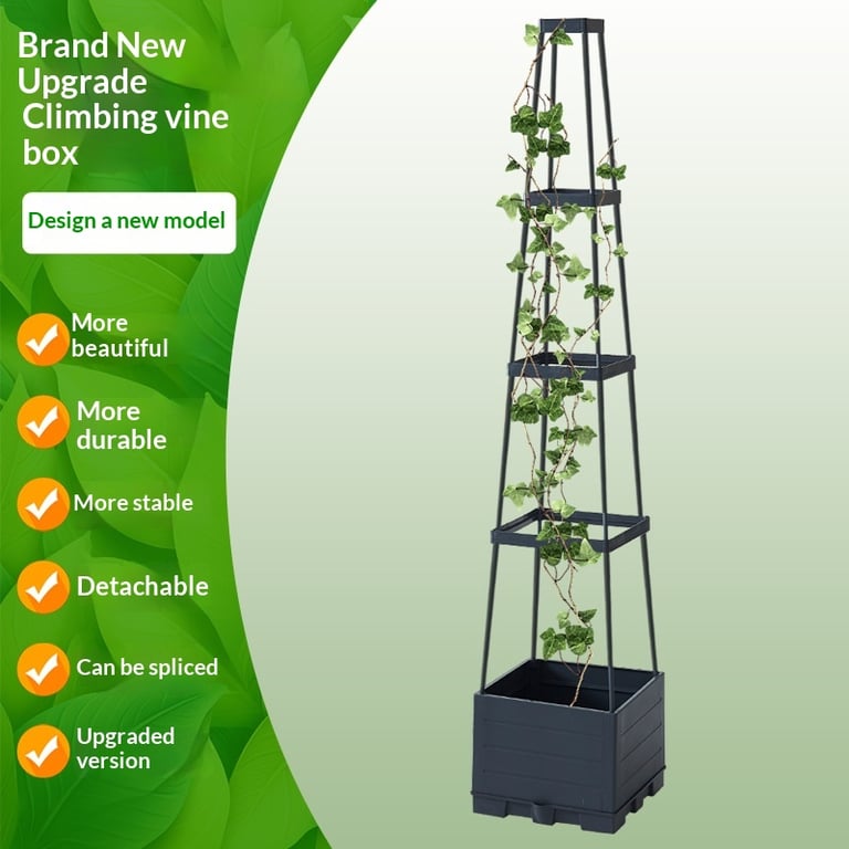 Climbing Plant Planter Box with Trellis | Vertical Garden Balcony thumbnail 17