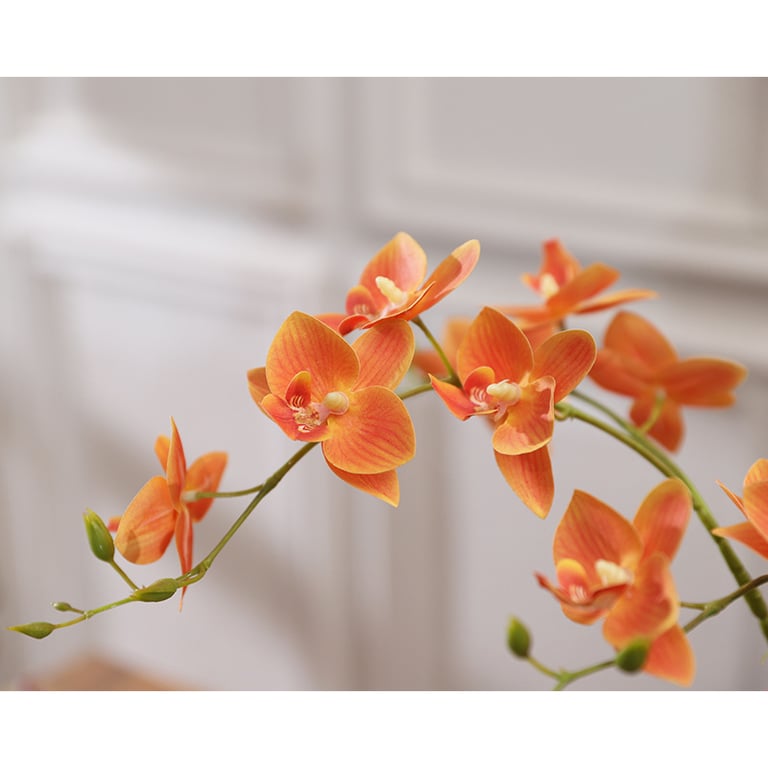 Silicone-Feel Dove Orchid Artificial Flower Arrangement | Modern Minimalist Home Decor thumbnail 2