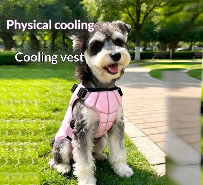 Physical Cooling Phase Change Ice Pad For Dogs | Captain Fam thumbnail 12