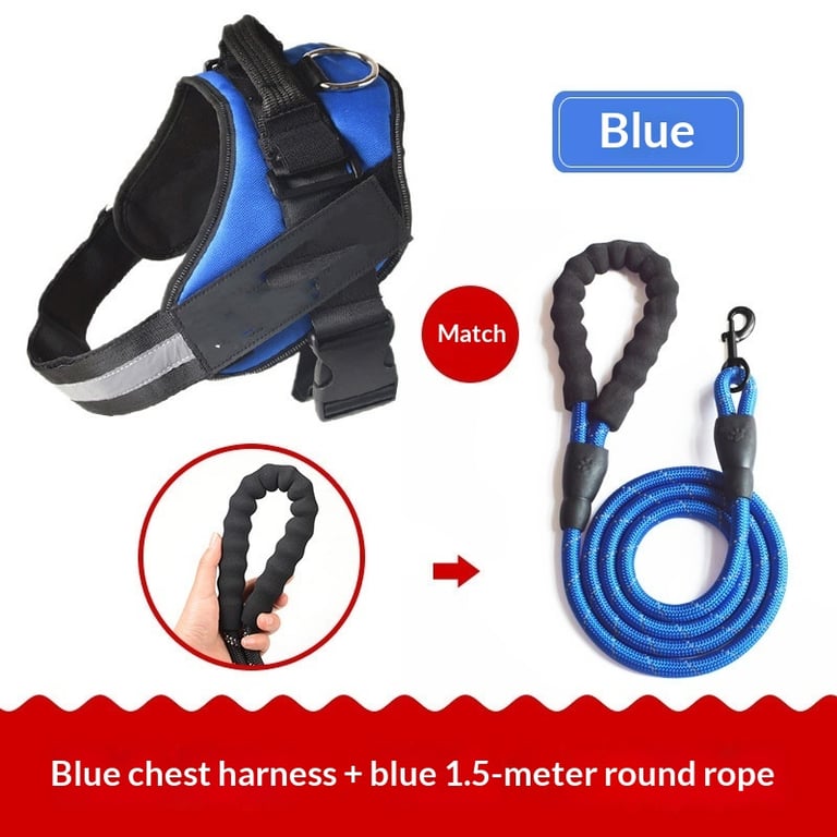 Vest-Style Dog Harness with Rope Leash | Padded Comfort Set thumbnail 3