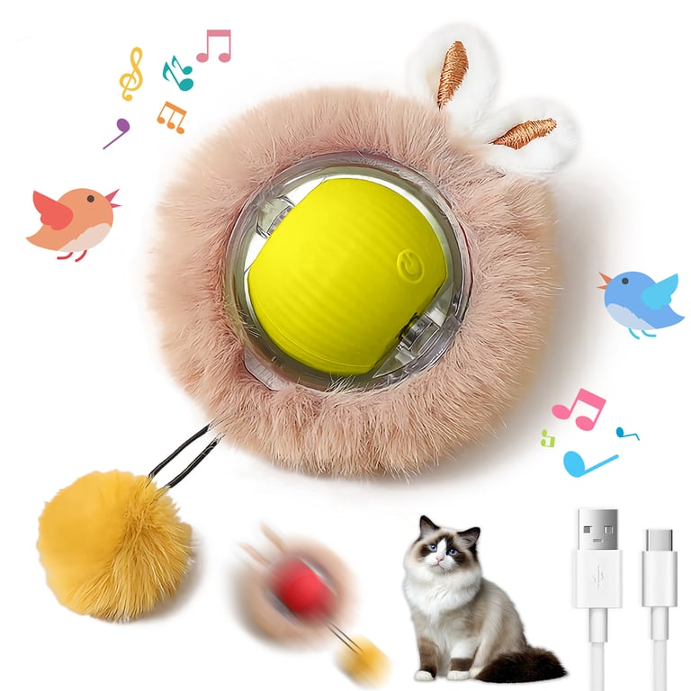 Interactive Motion Activated Cat Ball Toy with LED Lights | Captain Fam