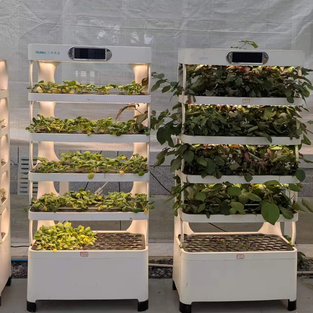 Smart Indoor Hydroponics Vertical Garden System